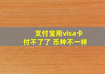 支付宝用visa卡付不了了 币种不一样